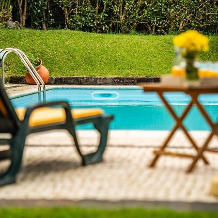 Casa Do Pinheiro With Shared Swimming Pool Villa São Vicente Ferreira Eksteriør billede