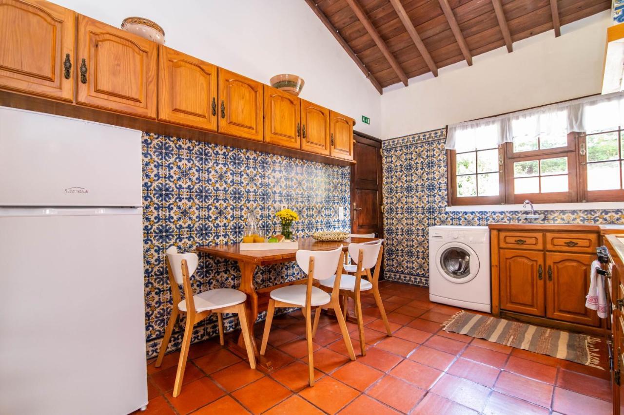 Casa Do Pinheiro With Shared Swimming Pool Villa São Vicente Ferreira Eksteriør billede