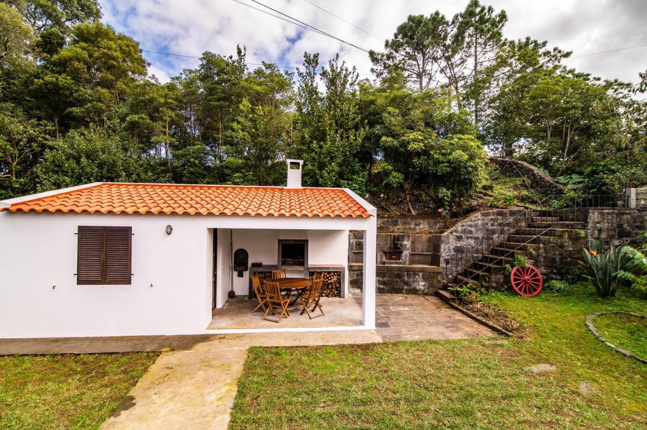 Casa Do Pinheiro With Shared Swimming Pool Villa São Vicente Ferreira Eksteriør billede